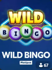 Wild Bingo BC Game Ísland game cover