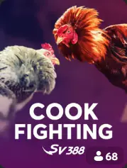 Cock Fighting BC Game Ísland game cover